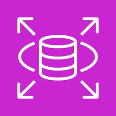 Amazon Relational Database Service icon